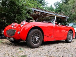 AUSTIN HEALEY SPRITE FROGEYE P